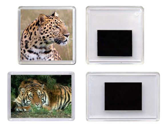 Магниты-пластик